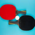 W jakich krajach popularny jest tenis stołowy i jakie są jego zasady?